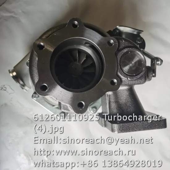 612601110925 Turbocharger (4)