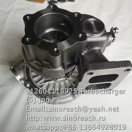 612601110925 Turbocharger (5)