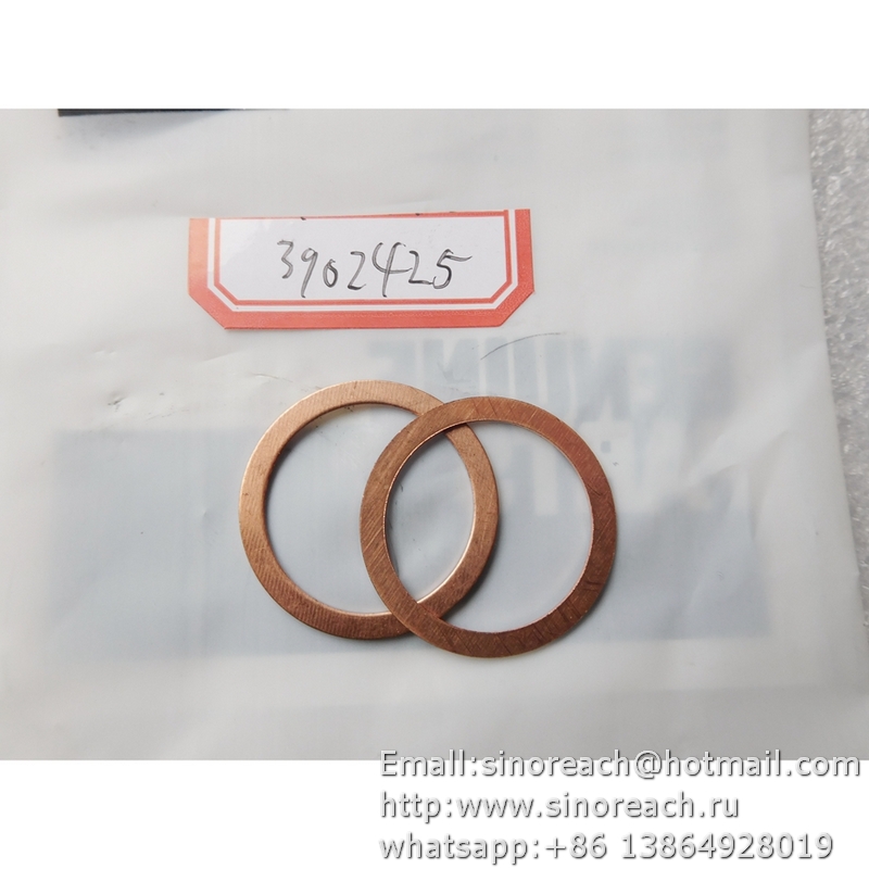 3902425 密封垫圈 (1)