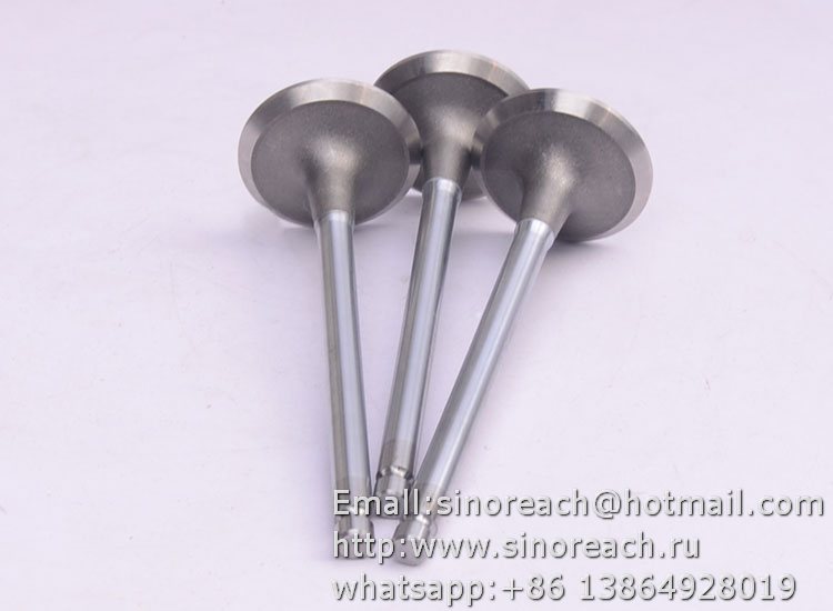 4994143 排气门总成 (1)